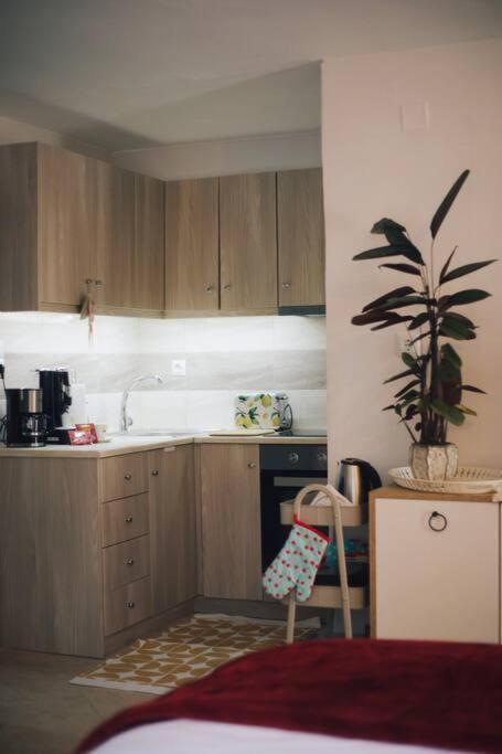 Το Σπίτι Της Ευτυχίας Στούντιο Apartment Karpenísion Exterior foto
