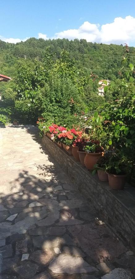 Το Σπίτι Της Ευτυχίας Στούντιο Apartment Karpenísion Exterior foto
